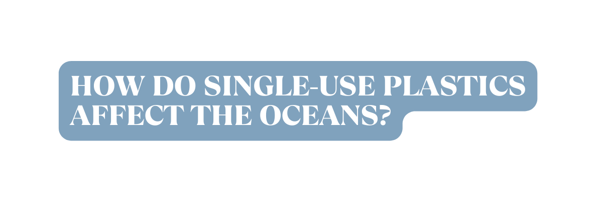 HOw Do single use plastics affect the oceans